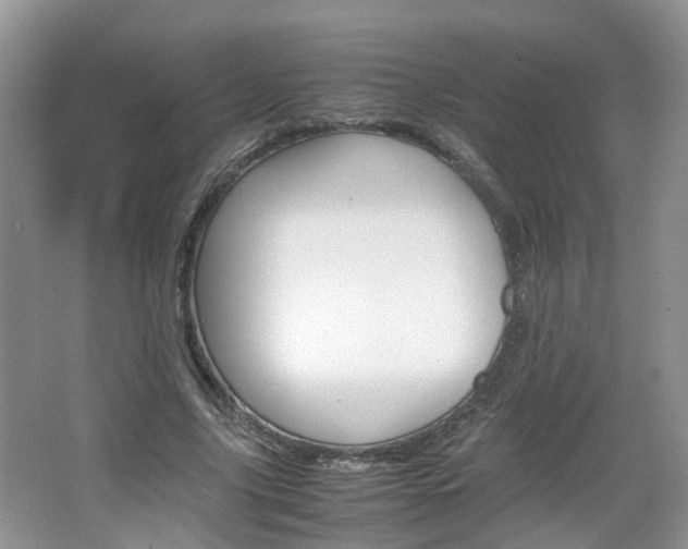 X0000067460635200604070927