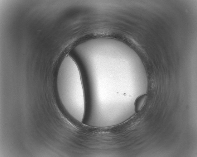 X0000067460637200604070927