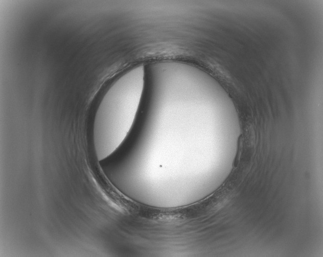 X0000067460638200604070927