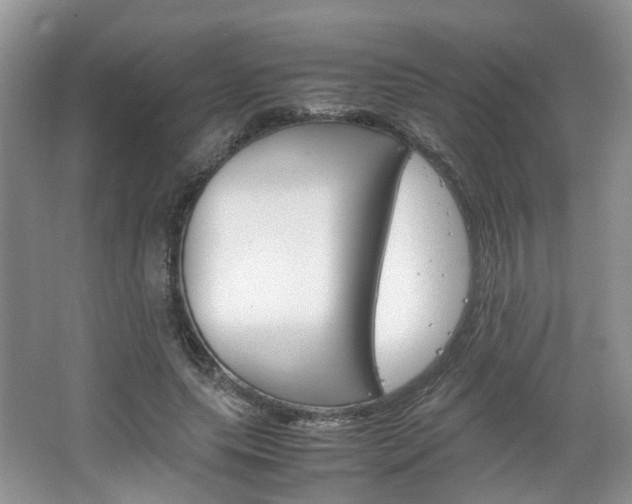 X0000067460639200604070928