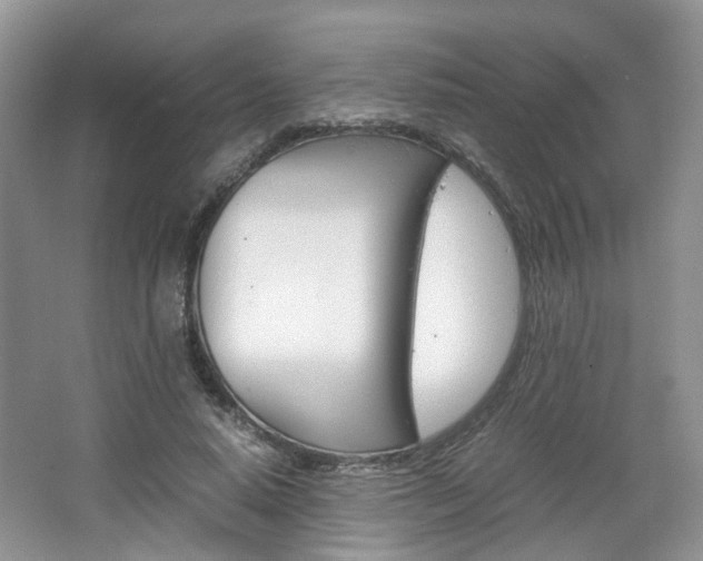 X0000067460640200604070928