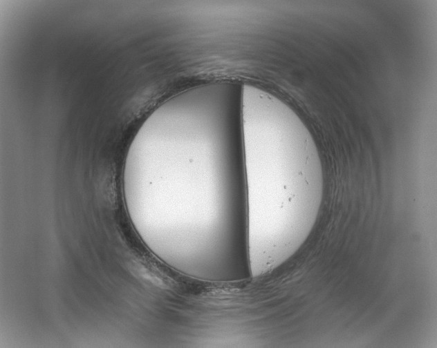 X0000067460642200604070928