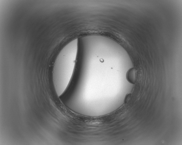 X0000067460643200604070928