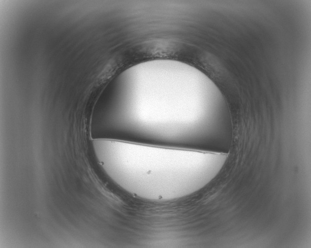 X0000067460646200604070928