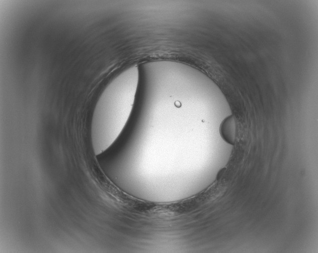 X0000067460648200604070928