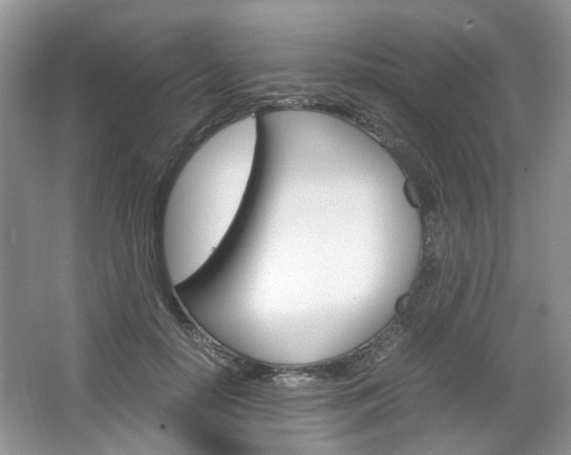 X0000067460650200604070928