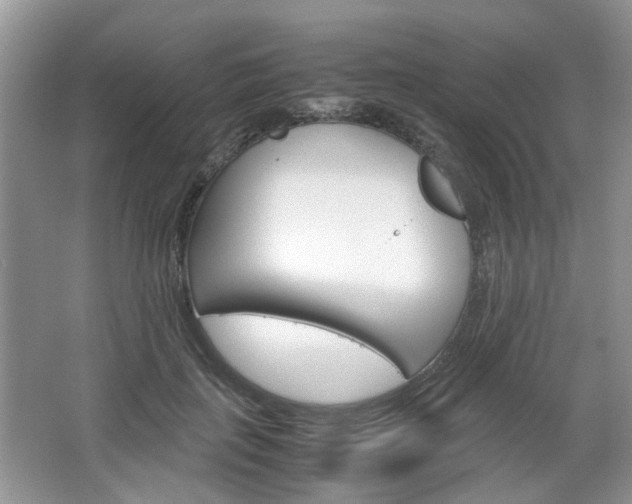 X0000067460651200604070928