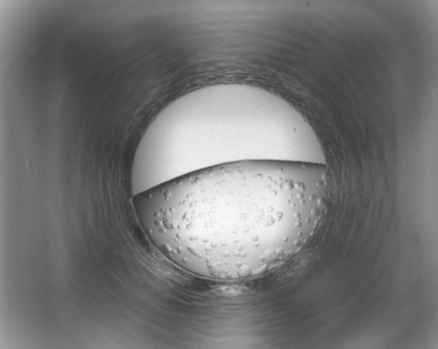 X0000067460654200604070928