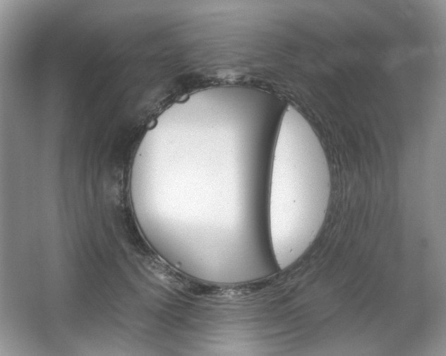 X0000067460656200604070928