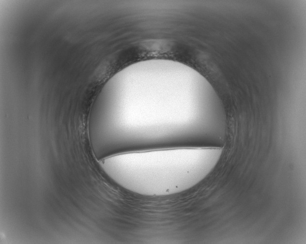 X0000067460657200604070928