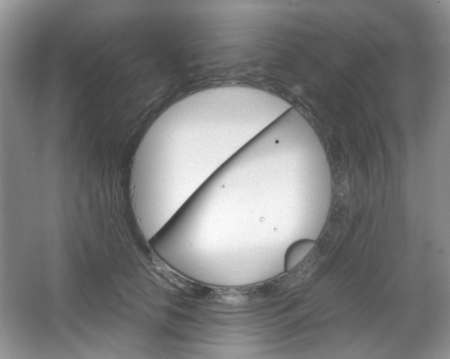 X0000067460658200604070928