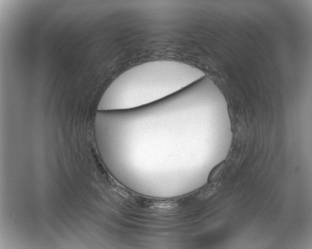 X0000067460659200604070928