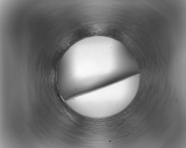 X0000067460660200604070928