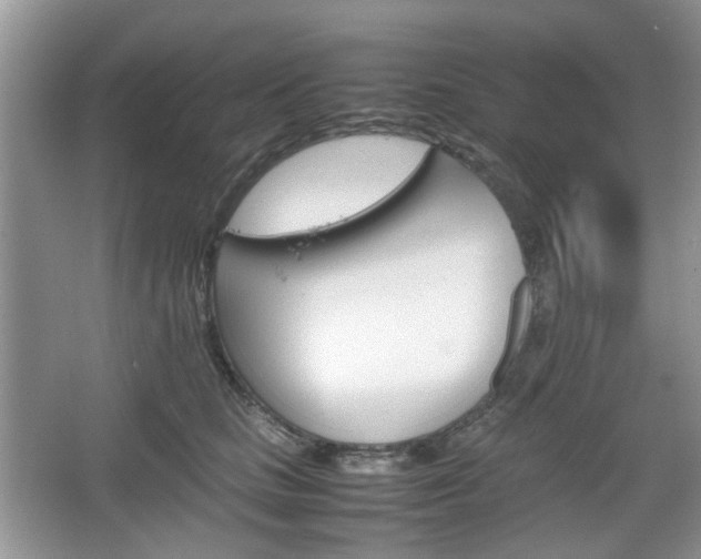 X0000067460661200604070928