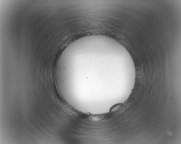 X0000067460662200604070928