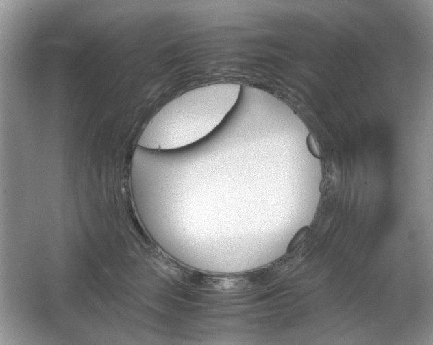 X0000067460663200604070928