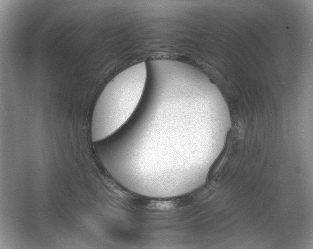 X0000067460665200604070928