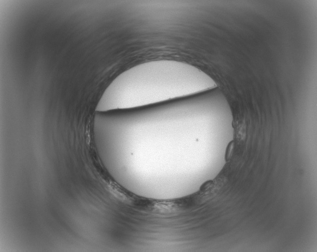 X0000067460666200604070928