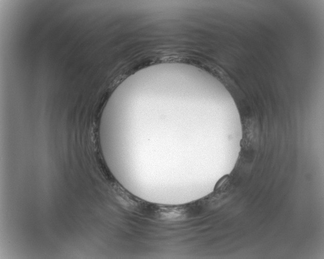 X0000067460667200604070928