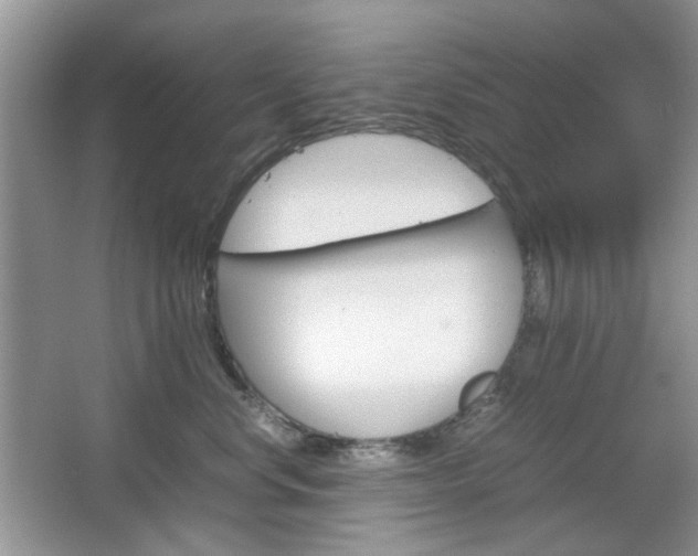 X0000067460668200604070928