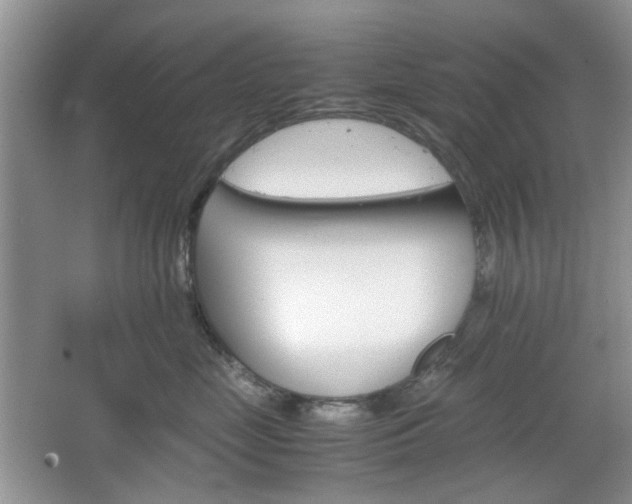 X0000067460669200604070928