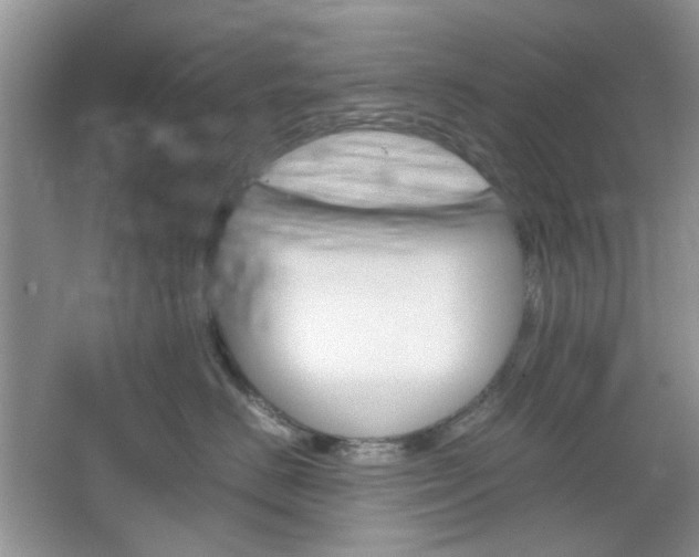 X0000067460670200604070928