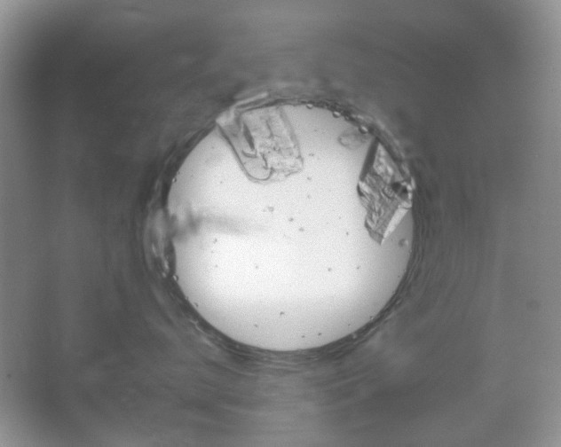 X0000067460672200604070928