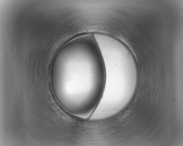 X0000067460673200604070927