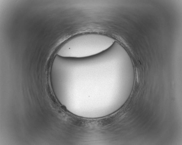 X0000067460675200604070927