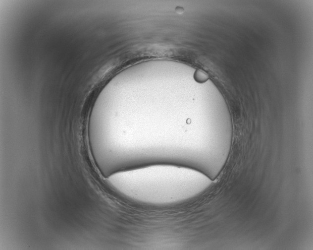 X0000067460679200604070927