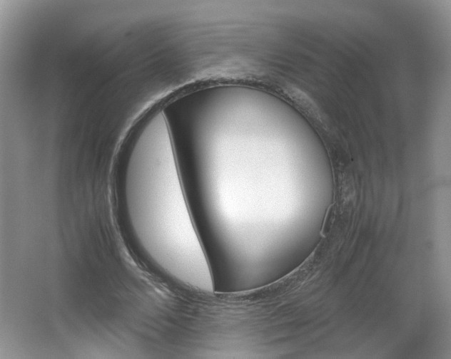 X0000067460680200604070927