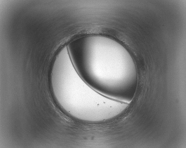 X0000067460681200604070927