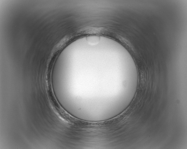 X0000067460682200604070927