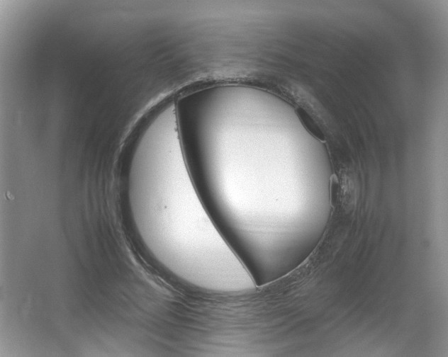 X0000067460684200604070927