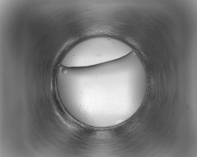 X0000067460686200604070927