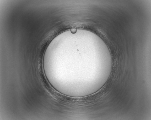 X0000067460687200604070927