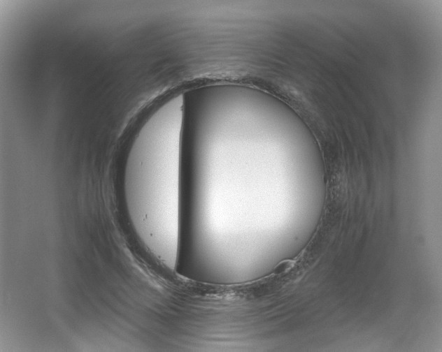 X0000067460688200604070927