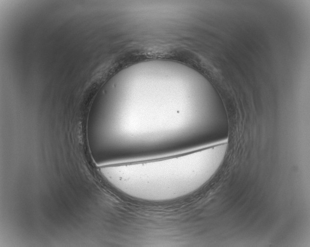 X0000067460689200604070927