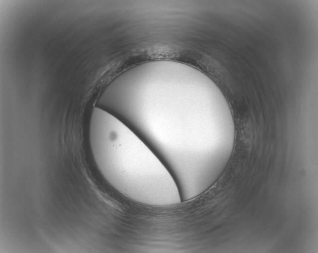 X0000067460690200604070927