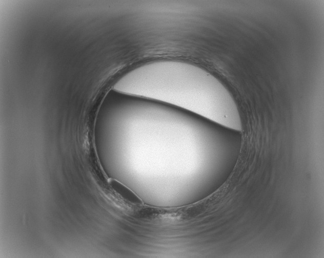 X0000067460692200604070927