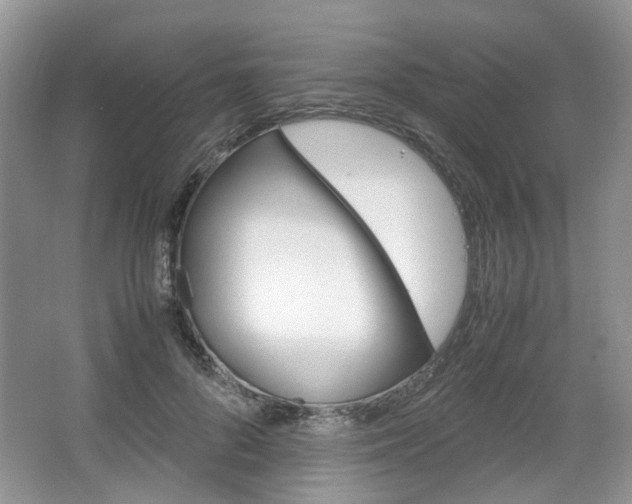 X0000067460696200604070927