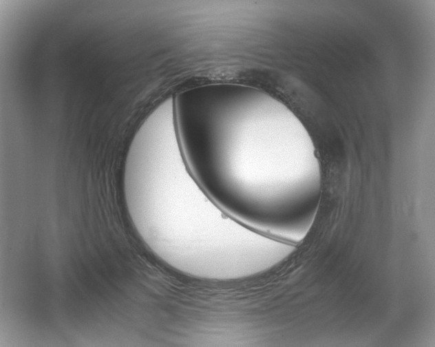 X0000067460697200604070927