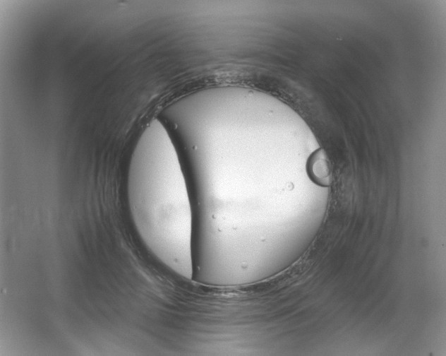 X0000067460698200604070927