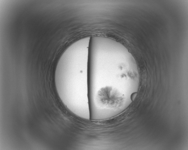 X0000067460699200604070927