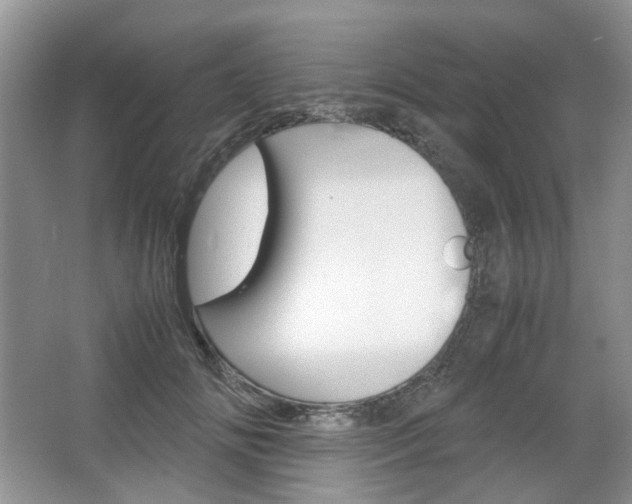 X0000067460702200604070927