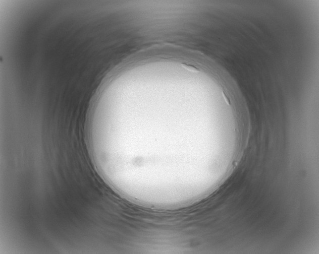 X0000067460705200604070927