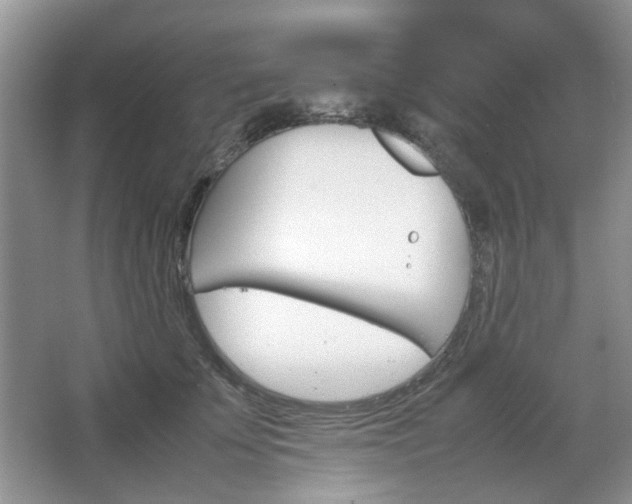 X0000067460707200604070927