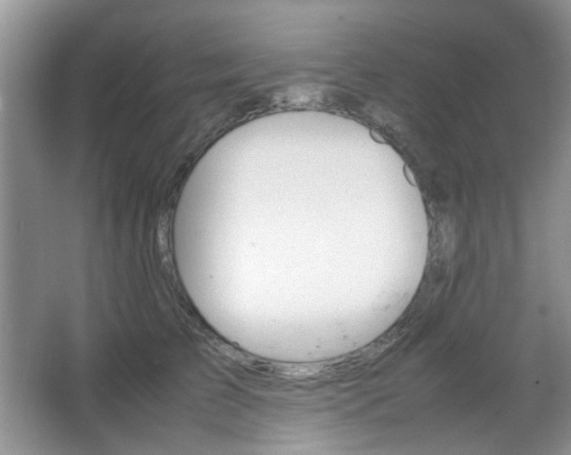 X0000067460709200604070927