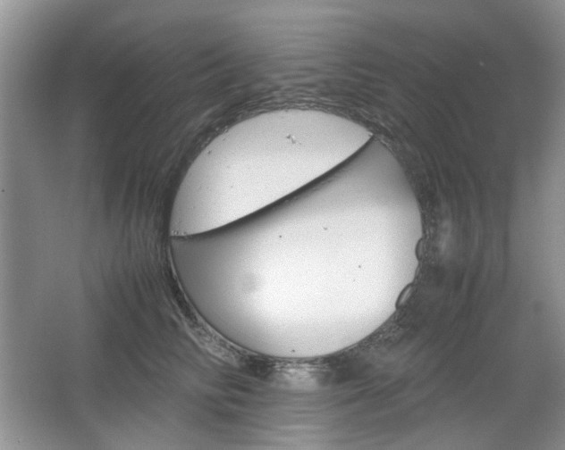 X0000067460710200604070927