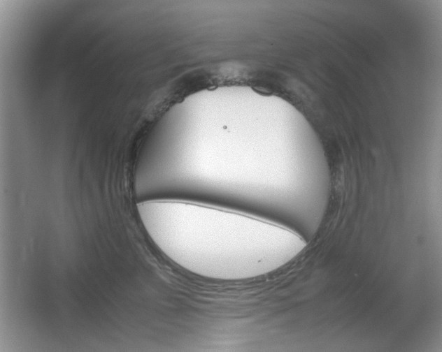 X0000067460715200604070927